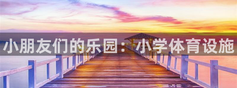注册凯捷体育：小朋友们的乐园：小学体育设施