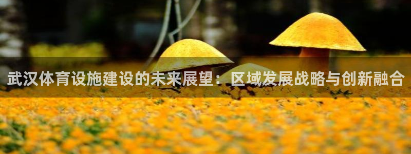 凯捷体育娱乐首页网站大全：武汉体育设施建设的未来展望