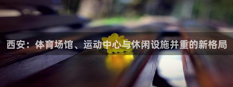 凯捷体育招商电话号码是多少啊：西安：体育场馆、运动中心与休闲