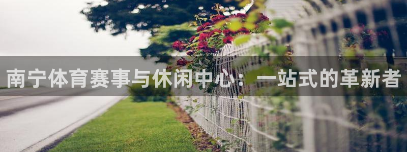 凯捷体育集团简介：南宁体育赛事与休闲中心：一站式的革
