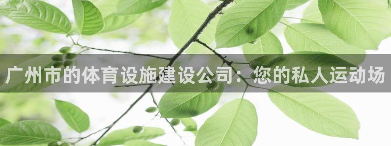 凯捷体育招商电话号码是多少
