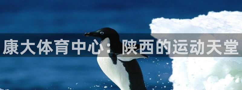凯捷体育联系电话