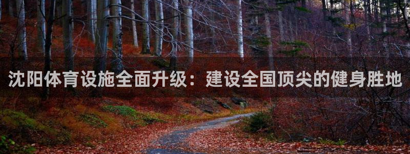 凯捷体育平台注册要钱吗：沈阳体育设施全面升级：建设全