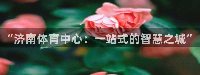 凯捷体育五金厂：“济南体育中心：一站式的智慧之城”