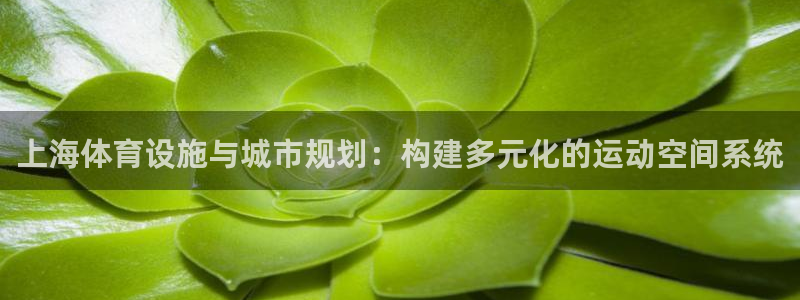 凯捷体育平台注册流程图：上海体育设施与城市规划：构建