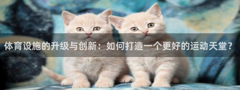 凯捷体育五金厂