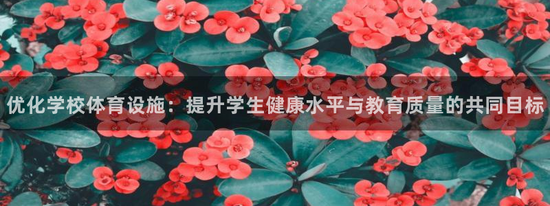 凯捷体育注册：优化学校体育设施：提升学生健康水平与教