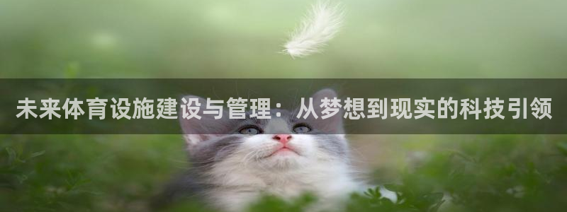 注册凯捷体育：未来体育设施建设与管理：从梦想到现实的科技引领
