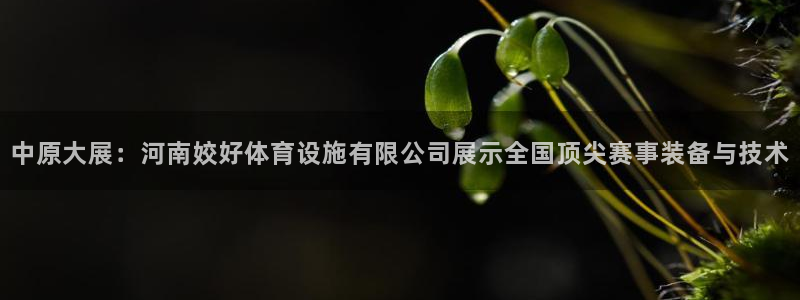 凯捷体育开户：中原大展：河南姣好体育设施有限公司展示全国顶尖