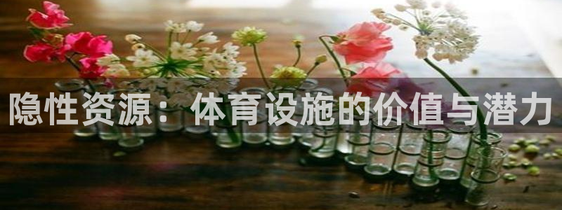 凯捷体育平台注册流程图：隐性资源：体育设施的价值与潜