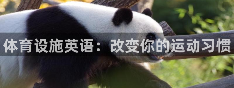凯捷体育官方客服电话：体育设施英语：改变你的运动习惯