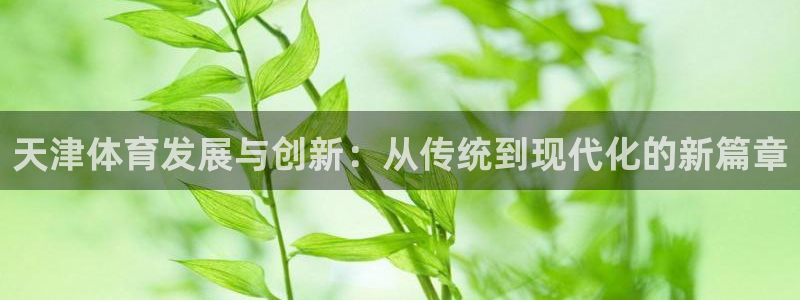 凯捷体育平台：天津体育发展与创新：从传统到现代化的新篇章