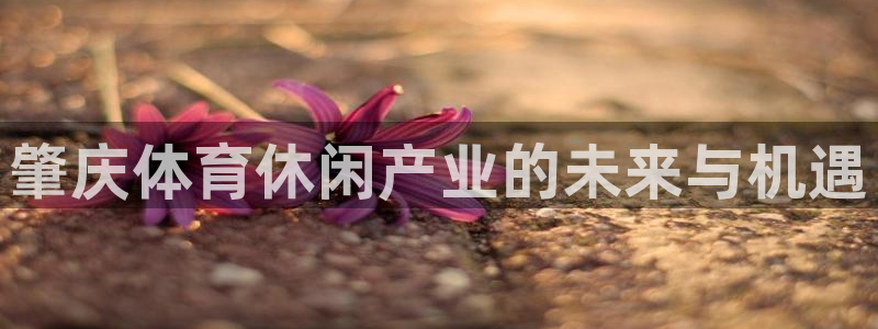 凯捷体育集团简介：肇庆体育休闲产业的未来与机遇