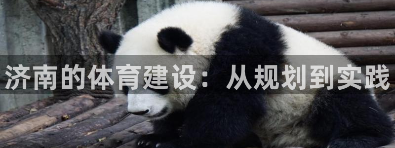 凯捷体育集团E.ON：济南的体育建设：从规划到实践