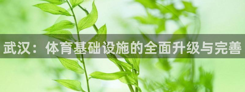 凯捷体育新能源：武汉：体育基础设施的全面升级与完善