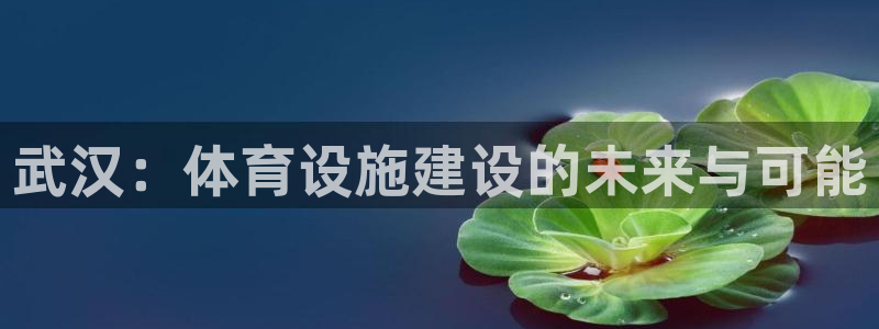 凯捷体育娱乐：武汉：体育设施建设的未来与可能