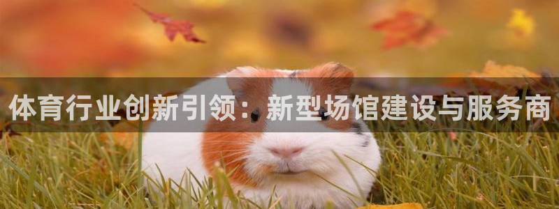 凯捷体育平台注册流程图：体育行业创新引领：新型场馆建