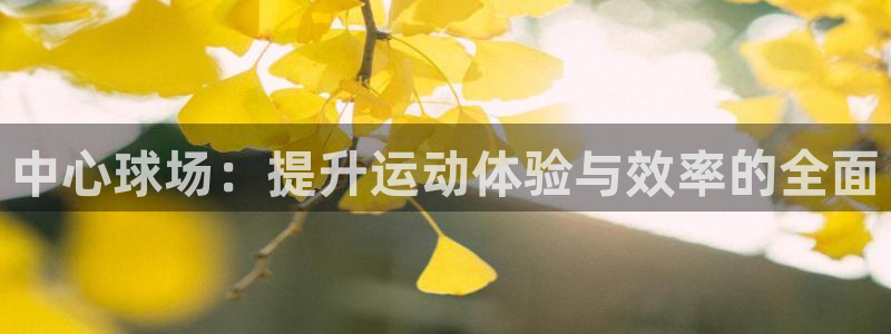 凯捷体育娱乐平台：中心球场：提升运动体验与效率的全面