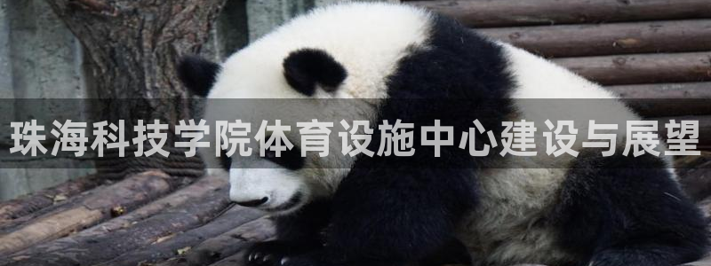 凯捷体育平台假的吗是真的吗