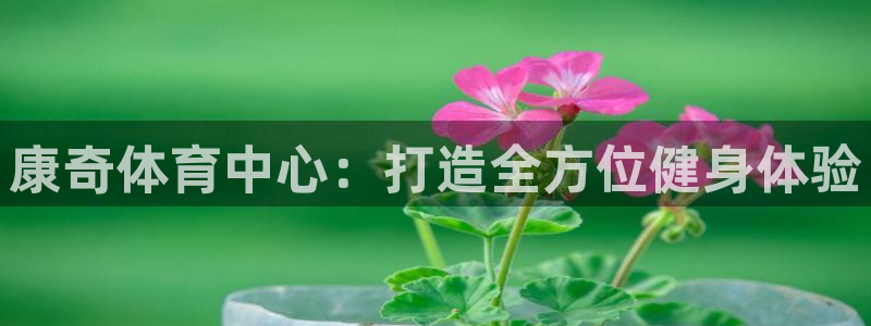 凯捷体育代理：康奇体育中心：打造全方位健身体验 