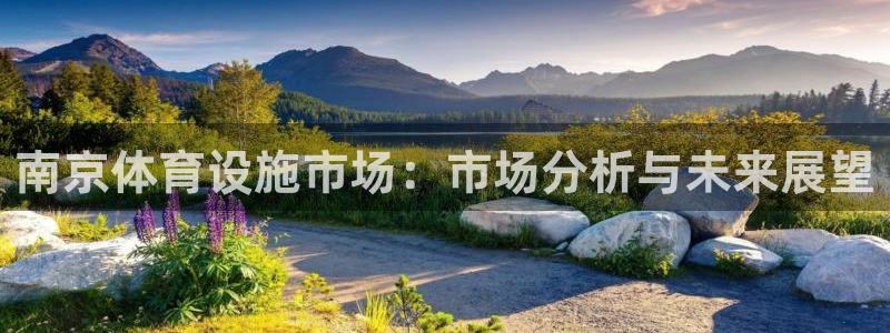 凯捷体育集团简介：南京体育设施市场：市场分析与未来展望