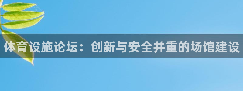 凯捷体育平台假的吗是真的吗：体育设施论坛：创新与安全并重的场