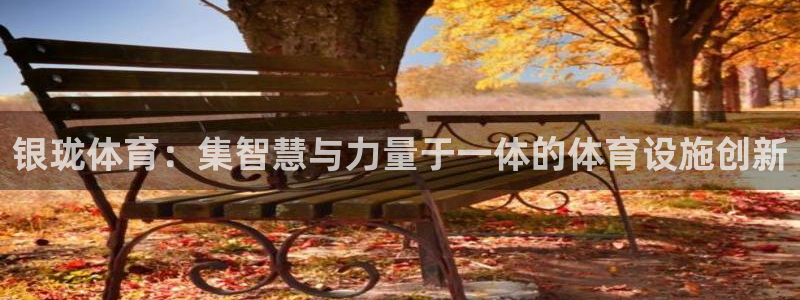 凯捷体育平台注册：银珑体育：集智慧与力量于一体的体育设施创新 