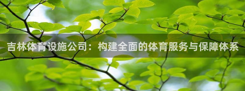 凯捷体育注册：吉林体育设施公司：构建全面的体育服务与保障体系