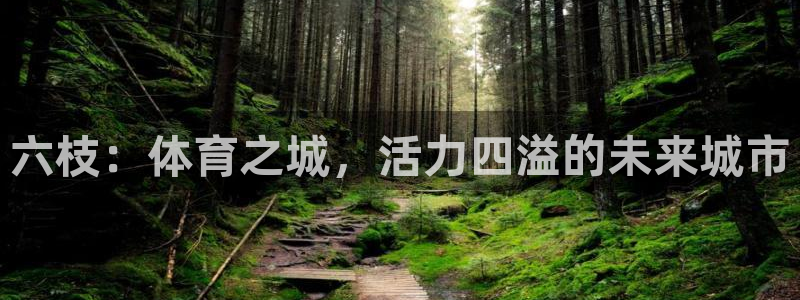 凯捷体育集团官网网址：六枝：体育之城，活力四溢的未来城市