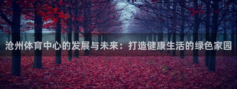 凯捷体育平台注册：沧州体育中心的发展与未来：打造健康生活的绿