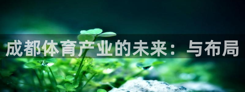 凯捷体育招商电话地址查询：成都体育产业的未来：与布局