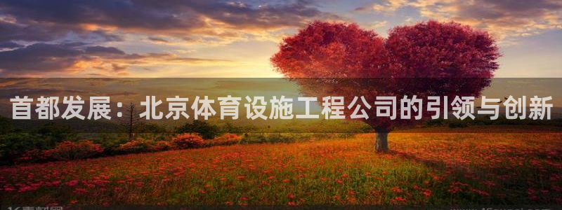 凯捷体育科技：首都发展：北京体育设施工程公司的引领与创新