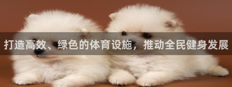 凯捷体育集团logo